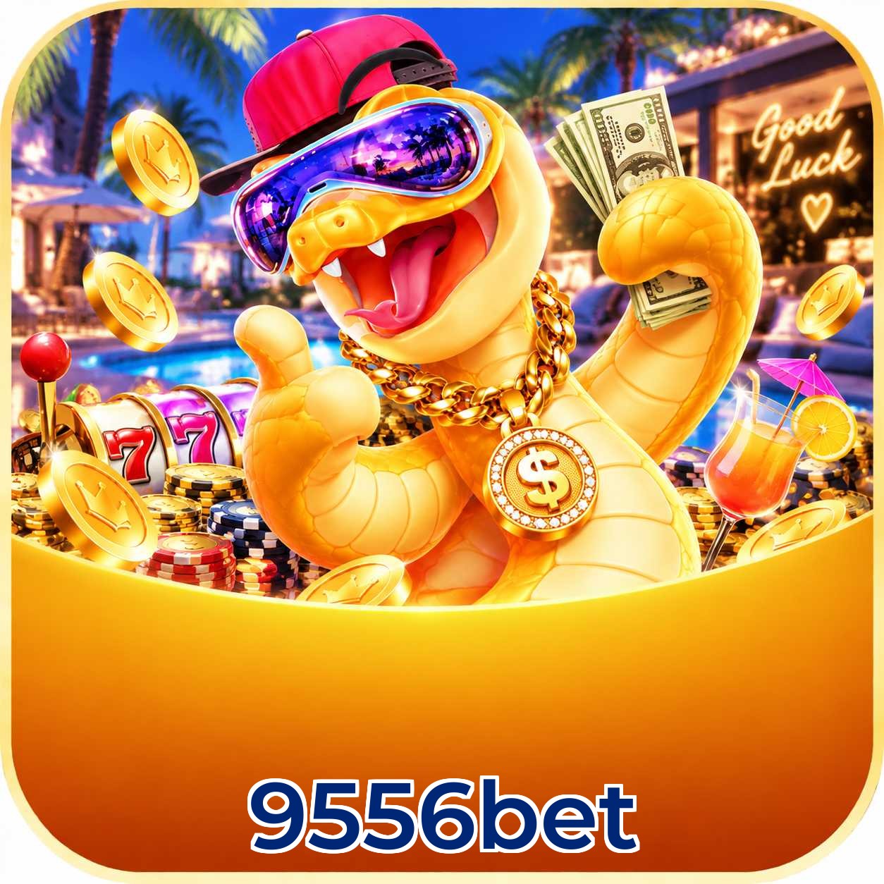 9556bet Live Casino Overview